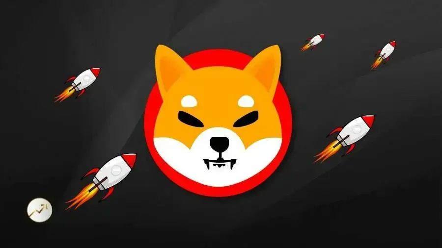 Стало известно число уничтоженных токенов SHIB
