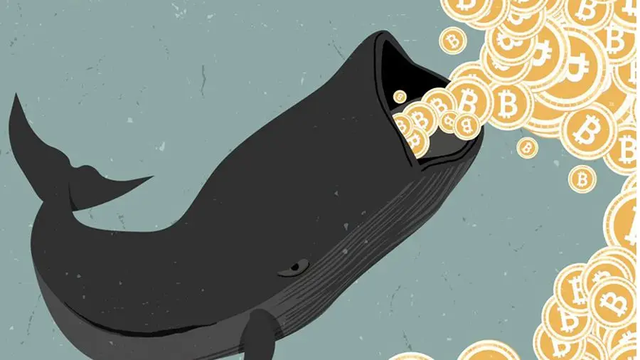 Основатель китайской компании Meitu купил в 2018 году 10 000 BTC Основатель китайской компании Meitu купил в 2018 году 10 000 BTC