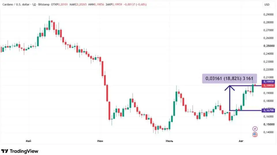 Стагнация биткоина и рекорды Cardano: как начинается август на крипторынке