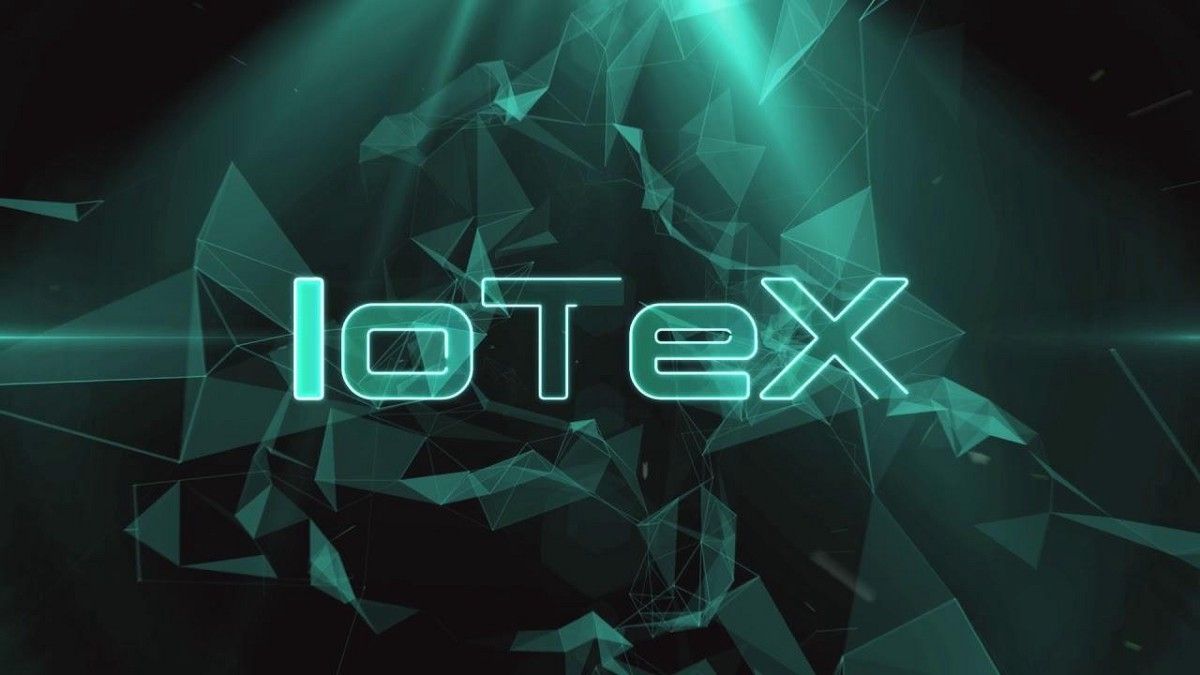 - IoTeX    $100 
