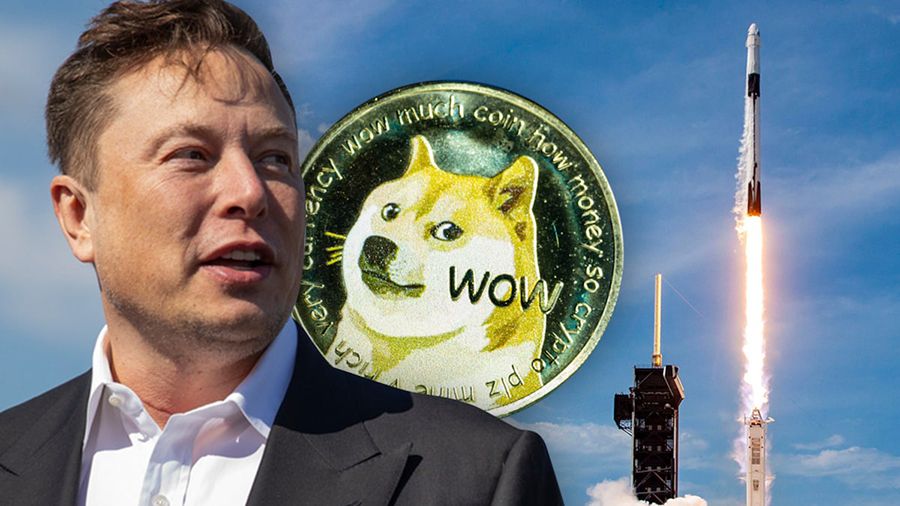   spacex doge     