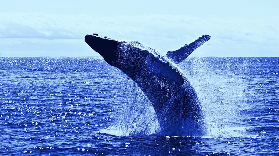 Whale Alert:    $3.54     88 856 BTC   Xapo