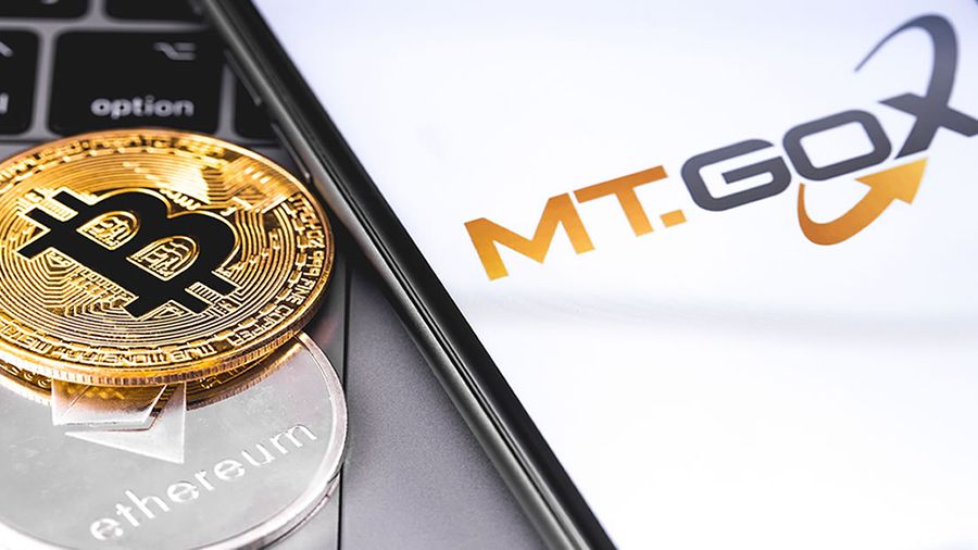 Fortress Investment Group     MtGox  $100 