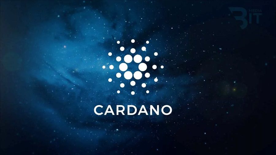 IntoTheBlock:     Cardano  