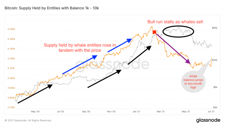 BTC whales new.png