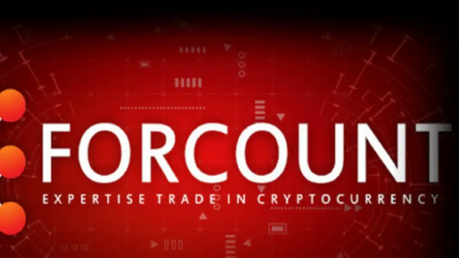 Соосновательницу криптопирамиды Forcount приговорили к 30 месяцам тюрьмы