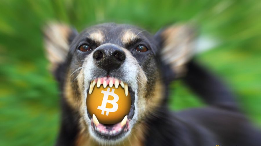 Bitclub атаковал сеть в поддержку SegWit
