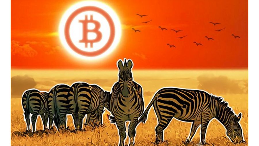 биткоин в ЮАР