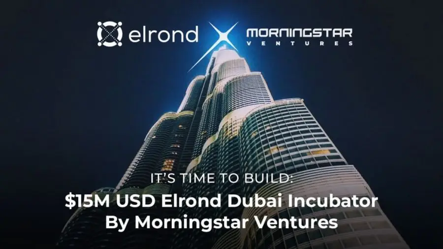 Morningstar Ventures вложит $15 млн в поддержку проектов на блокчейне Elrond