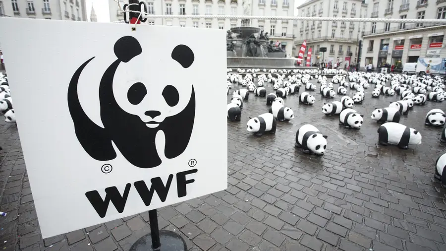 WWF прекратил продажу NFT для сбора средств на защиту редких животных из-за критики экологов