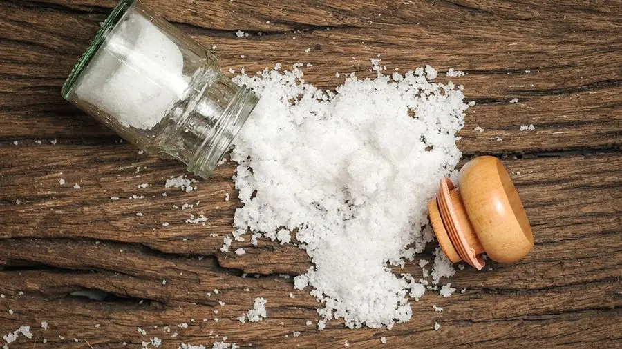 Salt Lending вернет инвесторам ICO $47 млн по приказу SEC