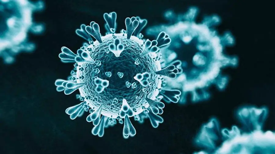 INATBA изучит возможности блокчейна для борьбы с последствиями пандемии COVID-19