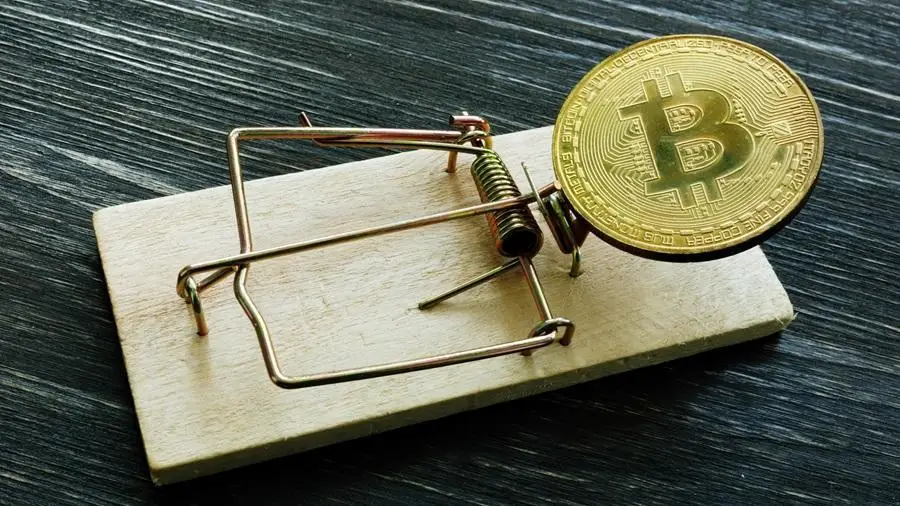 Абаканец потерял 5 млн рублей в попытке заработать на криптовалютах Абаканец потерял 5 млн рублей в попытке заработать на криптовалютах