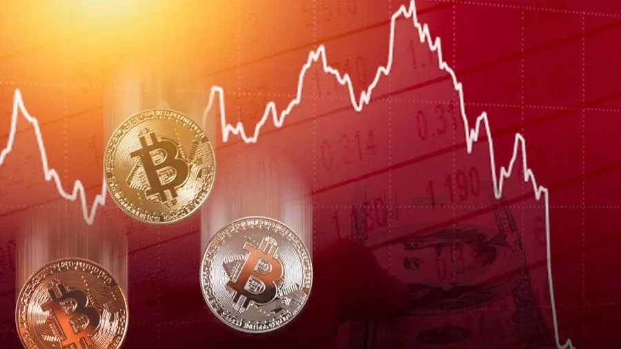 Индекс доминирования биткоина превысил 50% на фоне падения криптовалютного рынка