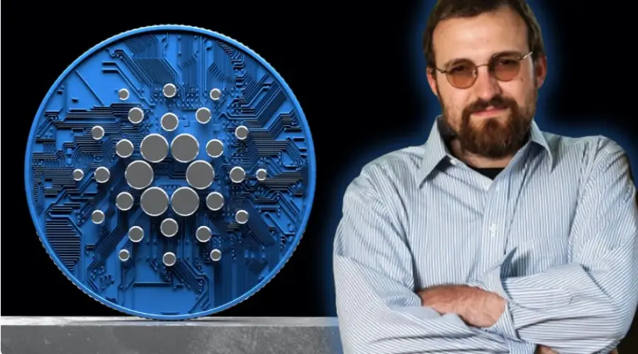 Чарльз Хоскинсон назвал сумму личных убытков в криптовалюте