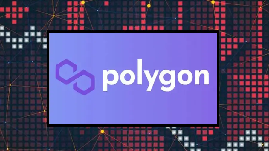 Political support and demand for NFT: Causes of Polygon growth in the bear market