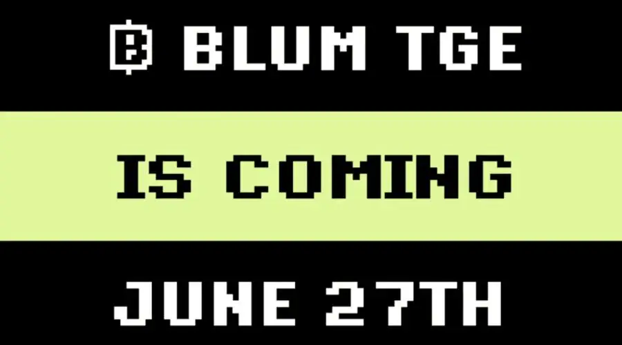 Blum-player game a year after the start of the start of the distribution of tokens