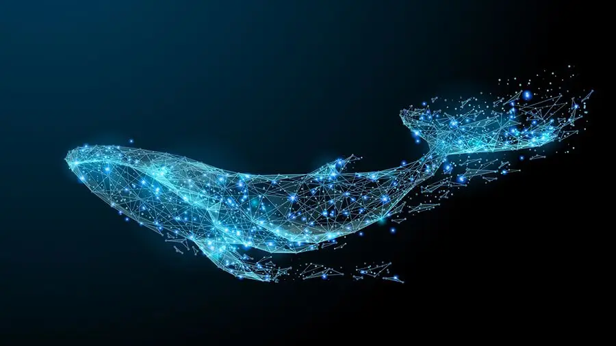 Киты атакуют: 31.3 млн XPR отправлены на биржу Bitstamp