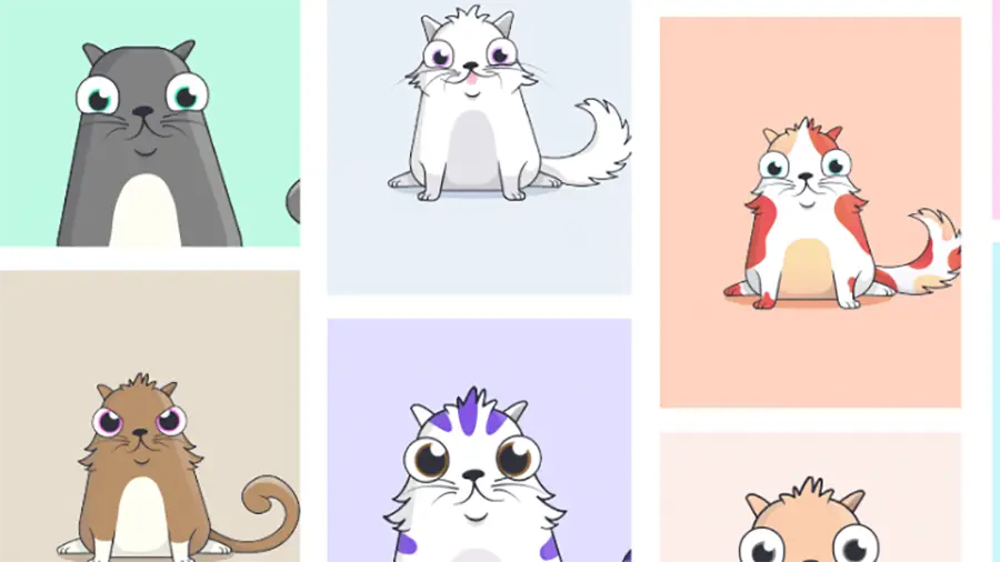 Создатель CryptoKitties привлек $15 млн среди инвесторов Google и Samsung