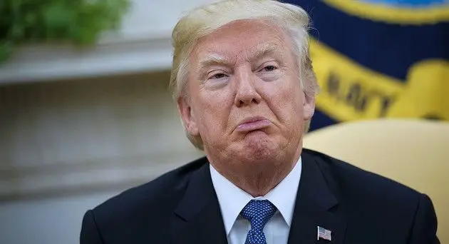 Ahrefs: Биткоин обошел по количеству поисковых запросов Дональда Трампа и Элвиса Пресли