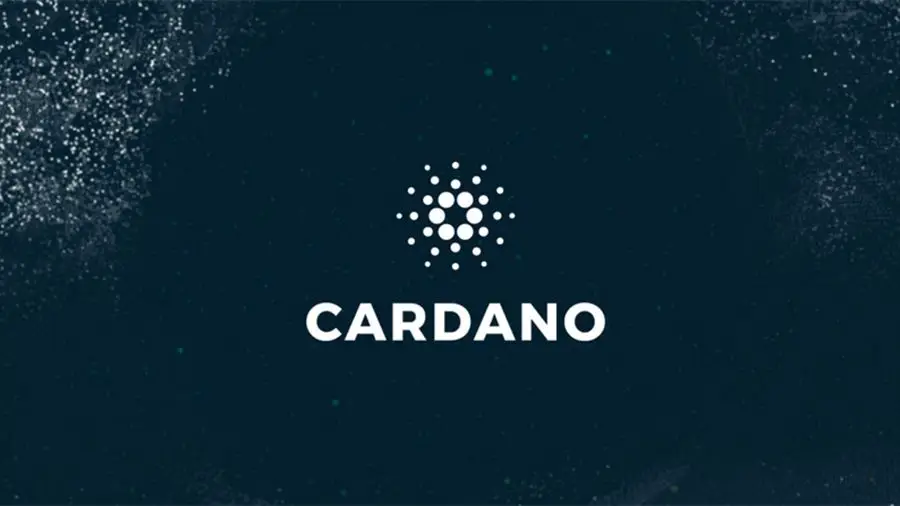 PRIViLEDGE привлек разработчиков Cardano для исследований в области блокчейна