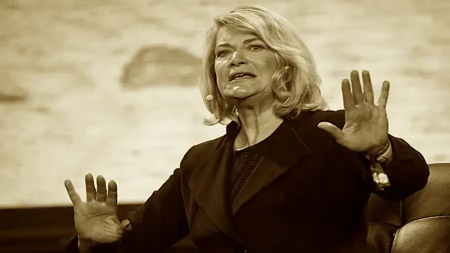 Сенатор пообещала защитить крипторазработчиков от судебных преследований