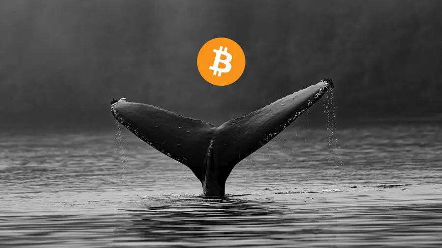 5 000 BTC переведены из неактивного с 2014 года кошелька