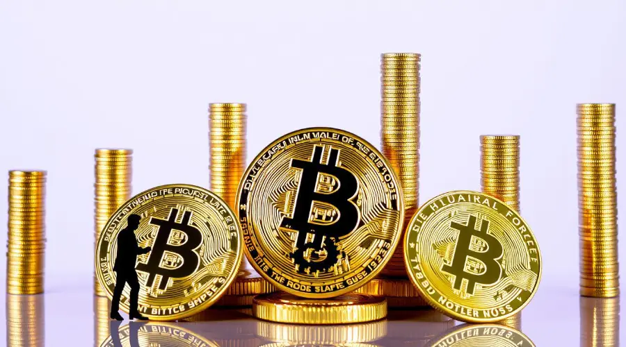 В CryptoQuant назвали количество купленных инвесторами биткоинов