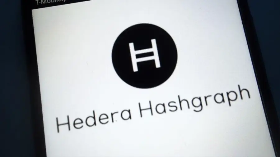 Завлечь разработчиков любым способом: что происходит с криптопроектом Hedera Завлечь разработчиков любым способом: что происходит с криптопроектом Hedera