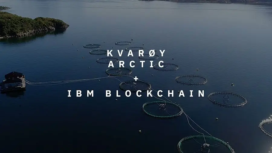 Норвежский производитель лосося Kvarøy Arctic присоединился к блокчейн-платформе IBM Food Trust