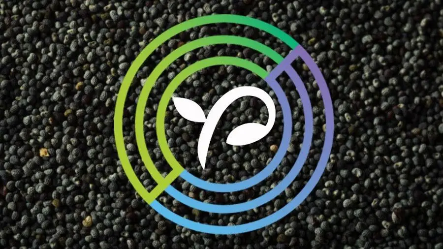 Circle готовится к покупке краудфандинговой платформы SeedInvest