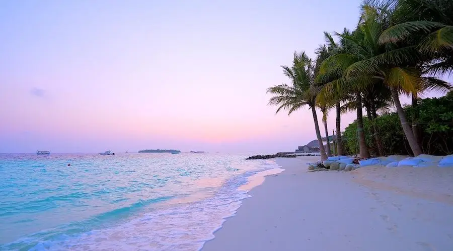 Компания Трампа токенизирует доходы строящегося курорта на Мальдивах