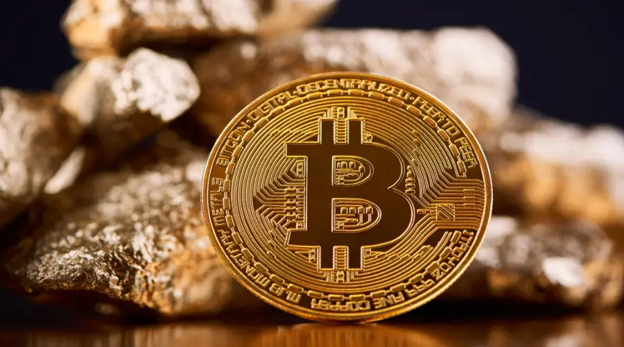 Cryptoquant rated the influx of bitcoins in the wallets of large investors