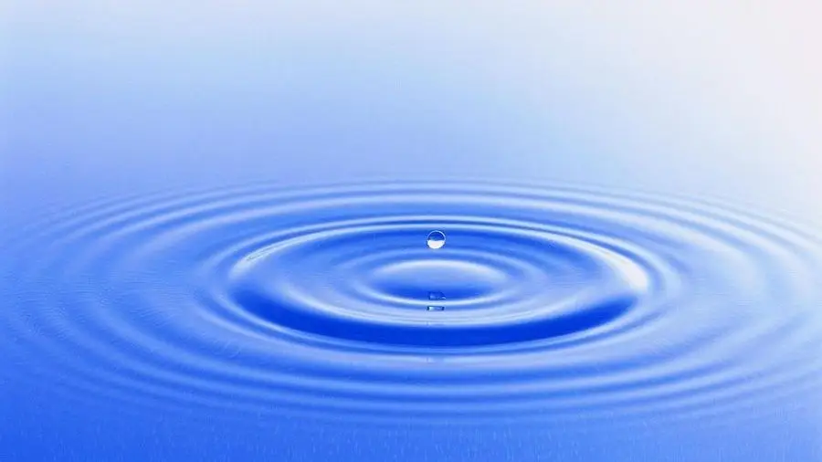Ripple: чужой среди своих. Часть I - Криптовалюта или платежная система?