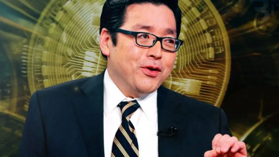 Том Ли: до конца года цена биткоина поднимется до $15 000 Том Ли: до конца года цена биткоина поднимется до $15 000