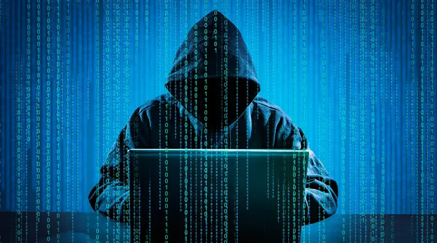 NEMO Protocol lost $ 2.4 million and stopped work