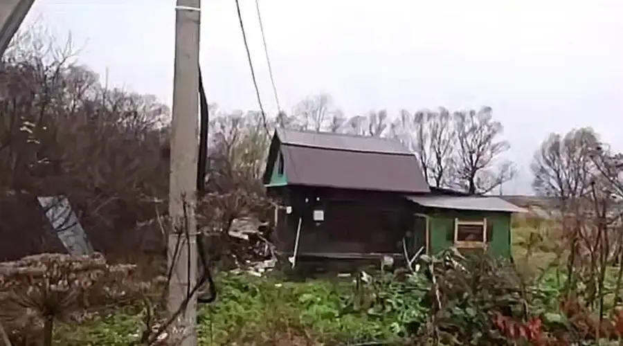 В Ярославской области среди зарослей борщевика обнаружена ферма для майнинга