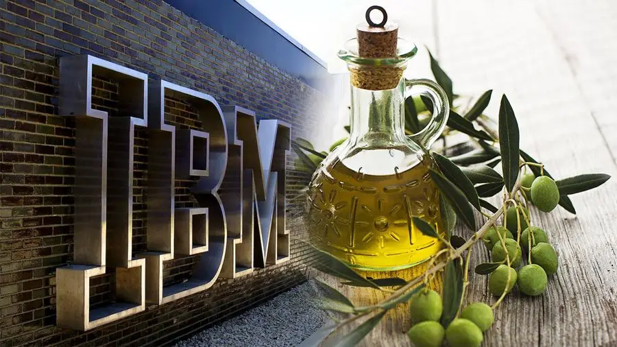 CHO использует блокчейн IBM для отслеживания цепочки поставок оливкового масла