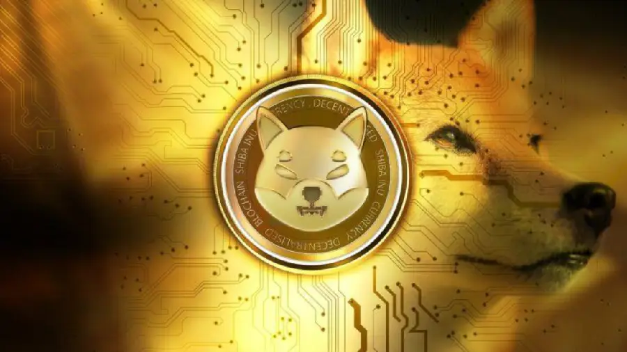 Shiba Inu стал первым по популярности токеном среди топ-1000 кошельков Эфириума