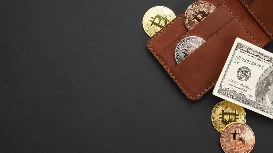 Количество пользователей криптовалют по всему миру достигло 320 млн