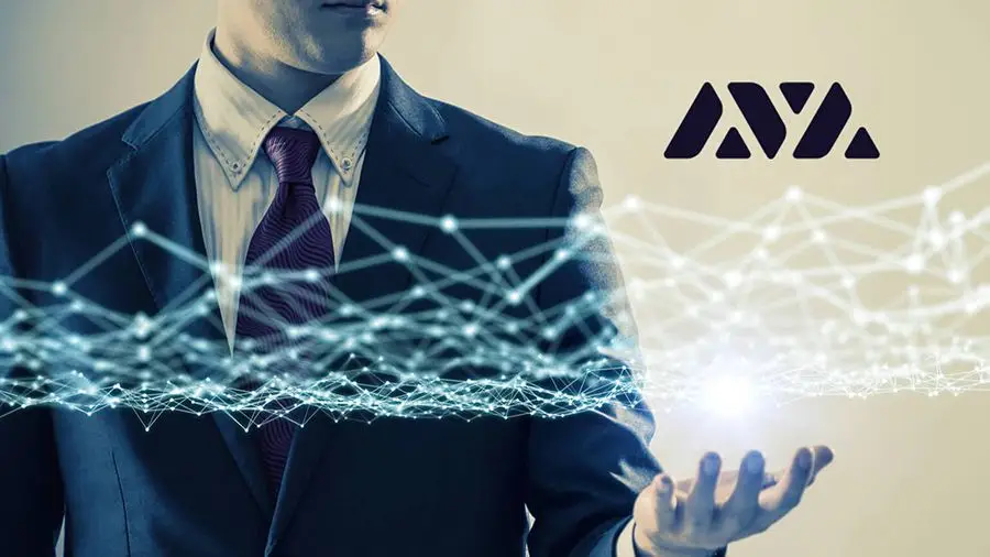 Ava Labs запустила две тестовые сети для Ava Network Ava Labs запустила две тестовые сети для Ava Network
