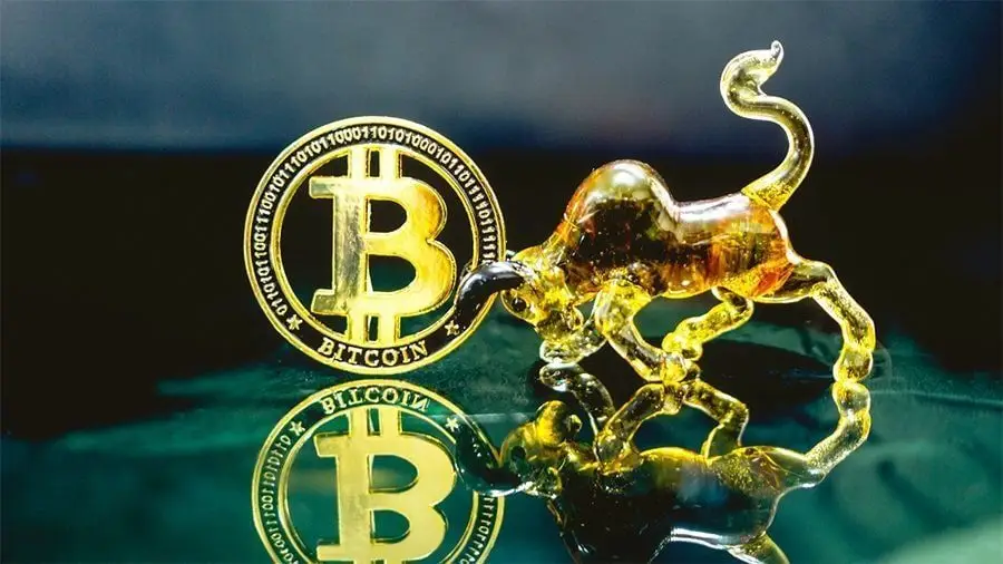 Когда закончится криптозима? Гадаем на курсах биктоина и главных альткоинов