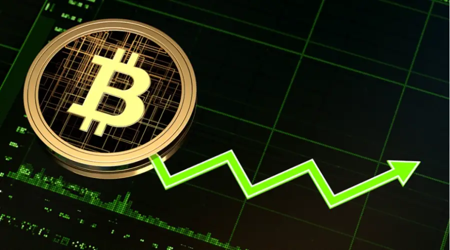 Cryptoquant saw bull signals on bitcoin market