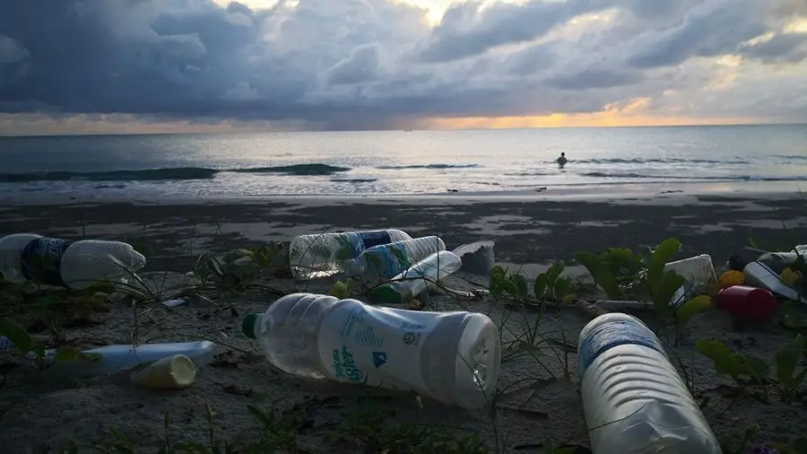 Производитель одежды True Tribe использует блокчейн для отслеживания цепочки поставок Производитель одежды True Tribe использует блокчейн для отслеживания цепочки поставок