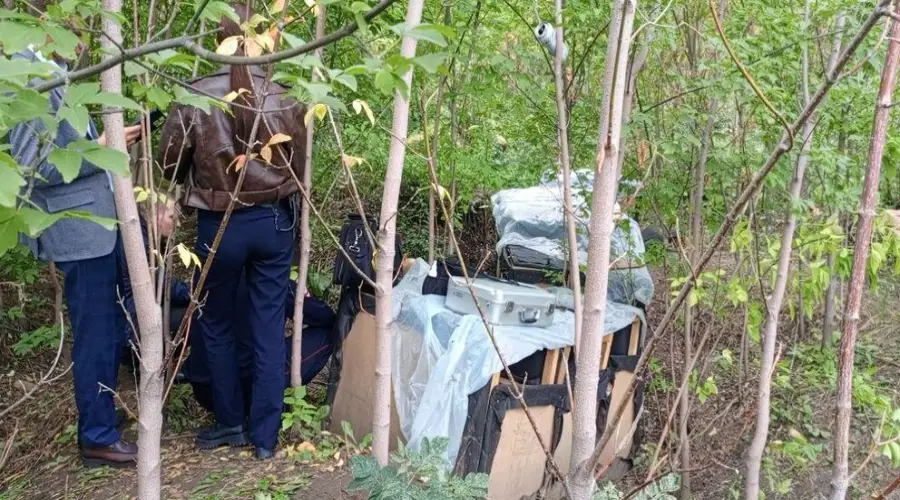In the forest planting of Irkutsk, an illegal mining-farm was eliminated