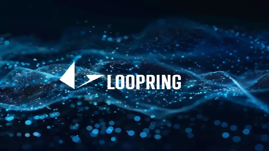 Loopring Кошелек Loopring потерял около $5 млн в результате взлома - Bits Media