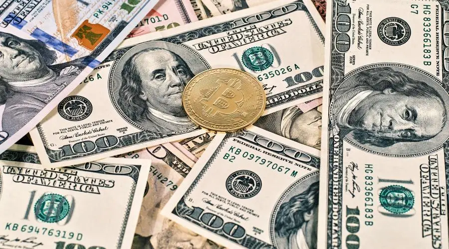 Рост предложения стейблкоинов почти остановился — ARK Invest