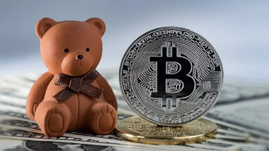 Сальвадор ввел изучение криптовалютных технологий в школьную программу