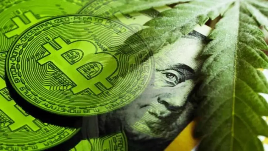Kindlymd bought 5764 VTS and reached 16th place in stocks of bitcoins