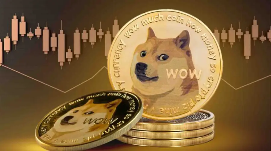 Dogecoin Cash has launched a structure for the development of the Dogecoin ecosystem
